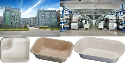 從植物纖維到環(huán)保餐桌 實業(yè)公司在packcon展區(qū)引領餐包新風尚
