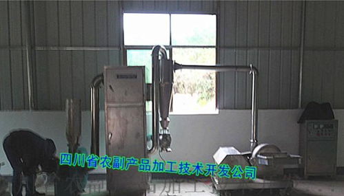 顆粒藕粉、速溶藕粉及復(fù)合藕粉設(shè)備的技術(shù)開發(fā)與應(yīng)用